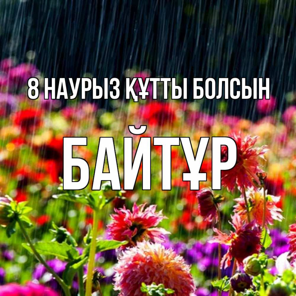Күн сайын ашық хат с именем, Байтұр 8 наурыз құтты болсын цветы под дождиком к международному женскому дню Онлайн тегін жүктеп алу тілектері бар керемет карта 