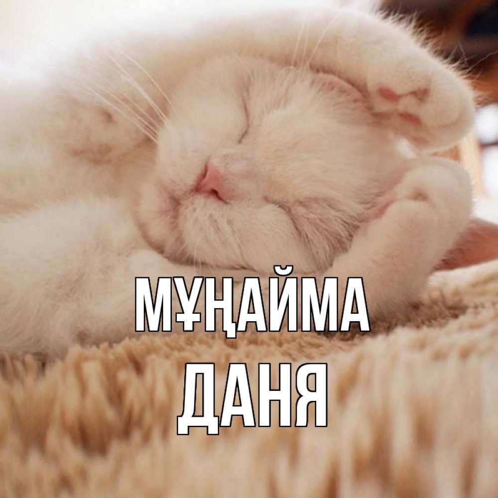 Күн сайын ашық хат с именем, Даня Мұңайма белый кот Онлайн тегін жүктеп алу тілектері бар керемет карта 