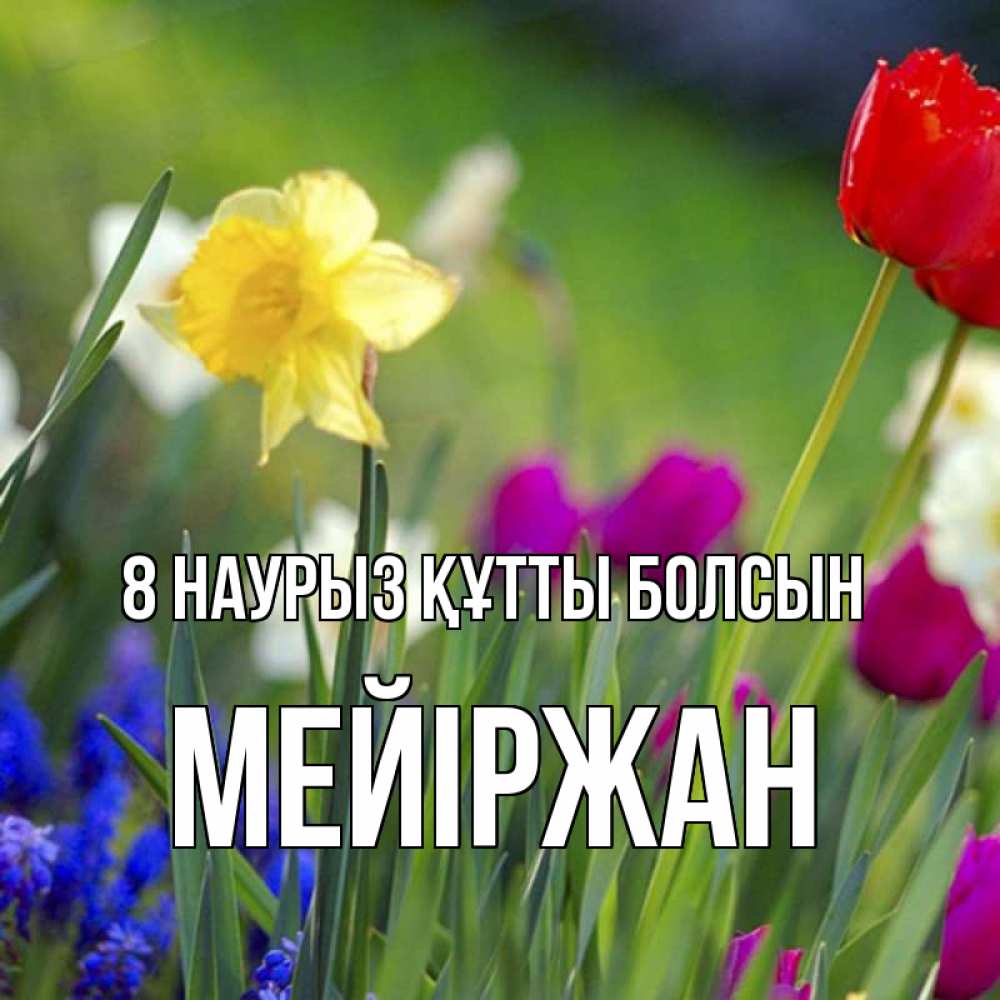 Күн сайын ашық хат с именем, МЕЙІРЖАН 8 наурыз құтты болсын международный женский день 3 Онлайн тегін жүктеп алу тілектері бар керемет карта 