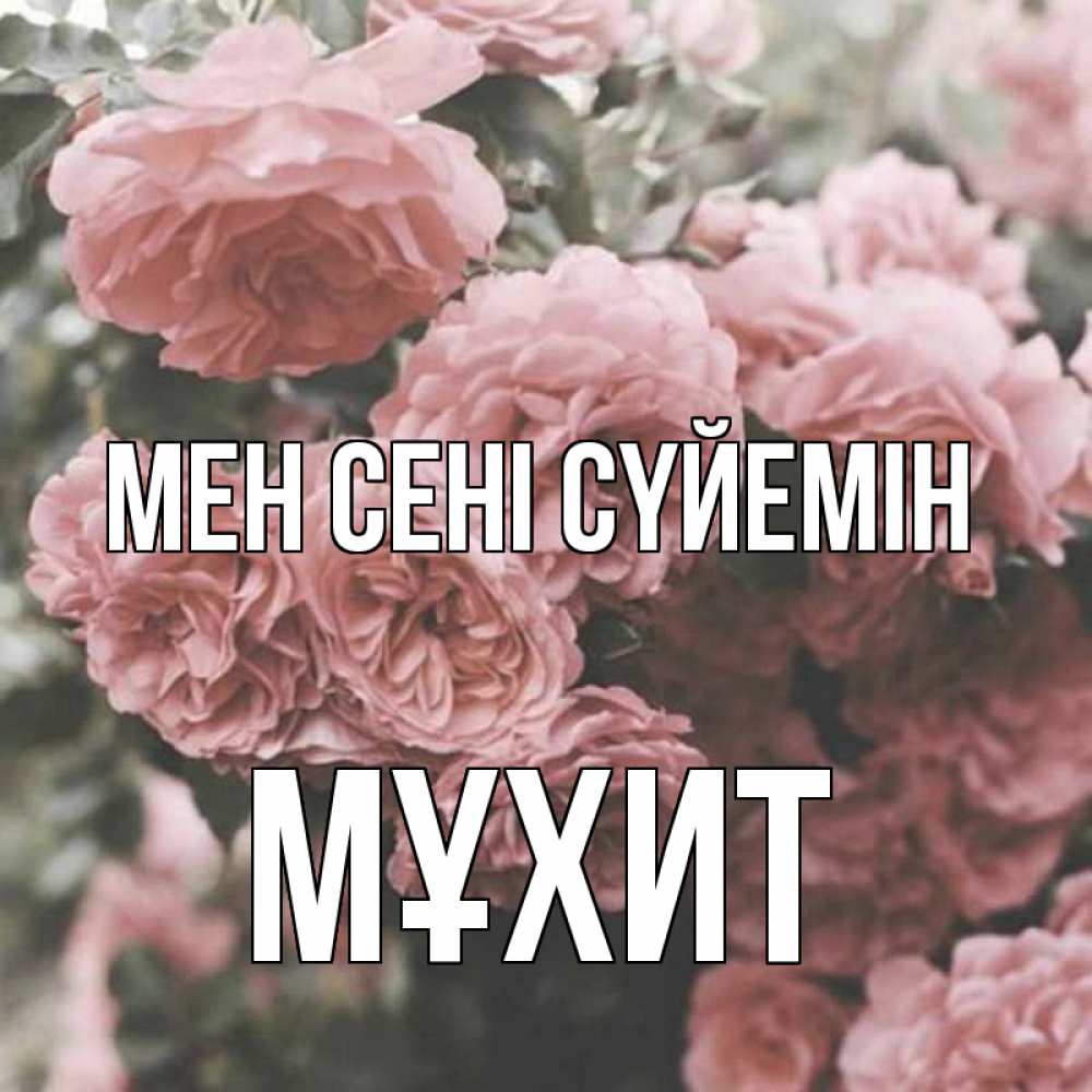 Күн сайын ашық хат с именем, МҰХИТ Мен сені сүйемін розы 3 Онлайн тегін жүктеп алу тілектері бар керемет карта 