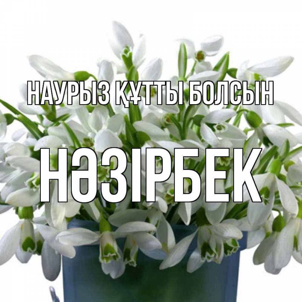 Күн сайын ашық хат с именем, НӘЗІРБЕК Наурыз құтты болсын цветы к наурызу Онлайн тегін жүктеп алу тілектері бар керемет карта 