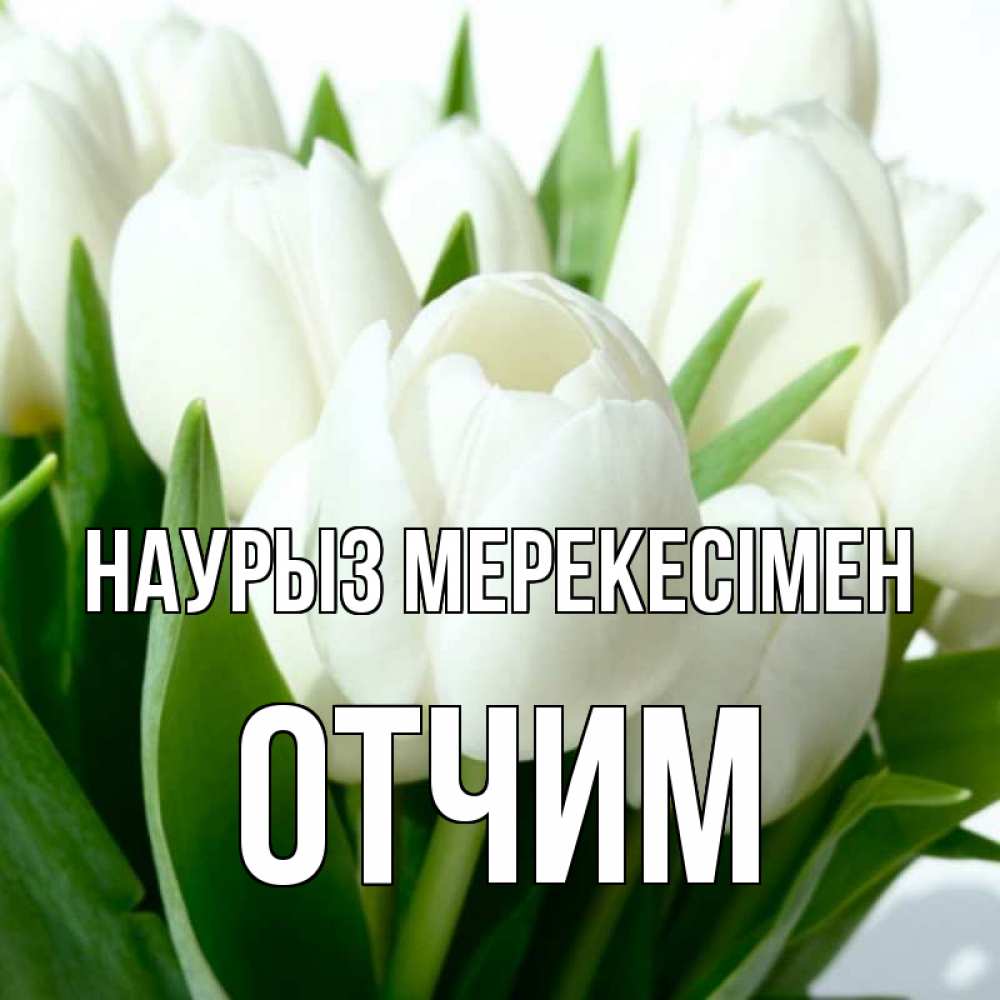 Күн сайын ашық хат с именем, Отчим Наурыз мерекесімен цветы Онлайн тегін жүктеп алу тілектері бар керемет карта 