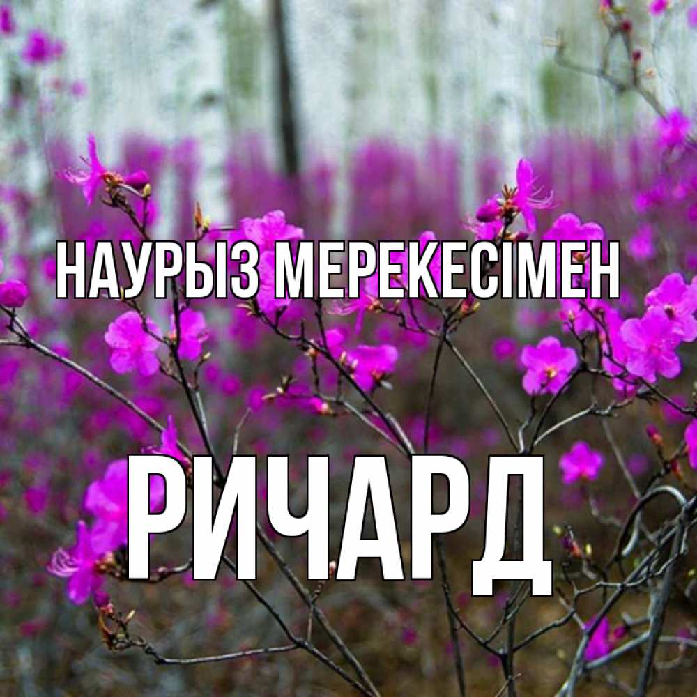 Күн сайын ашық хат с именем, Ричард Наурыз мерекесімен дикие цветы Онлайн тегін жүктеп алу тілектері бар керемет карта 
