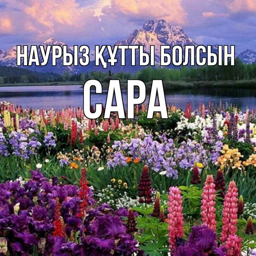 Күн сайын ашық хат с именем, САРА Наурыз құтты болсын наурыз Онлайн тегін жүктеп алу тілектері бар керемет карта 
