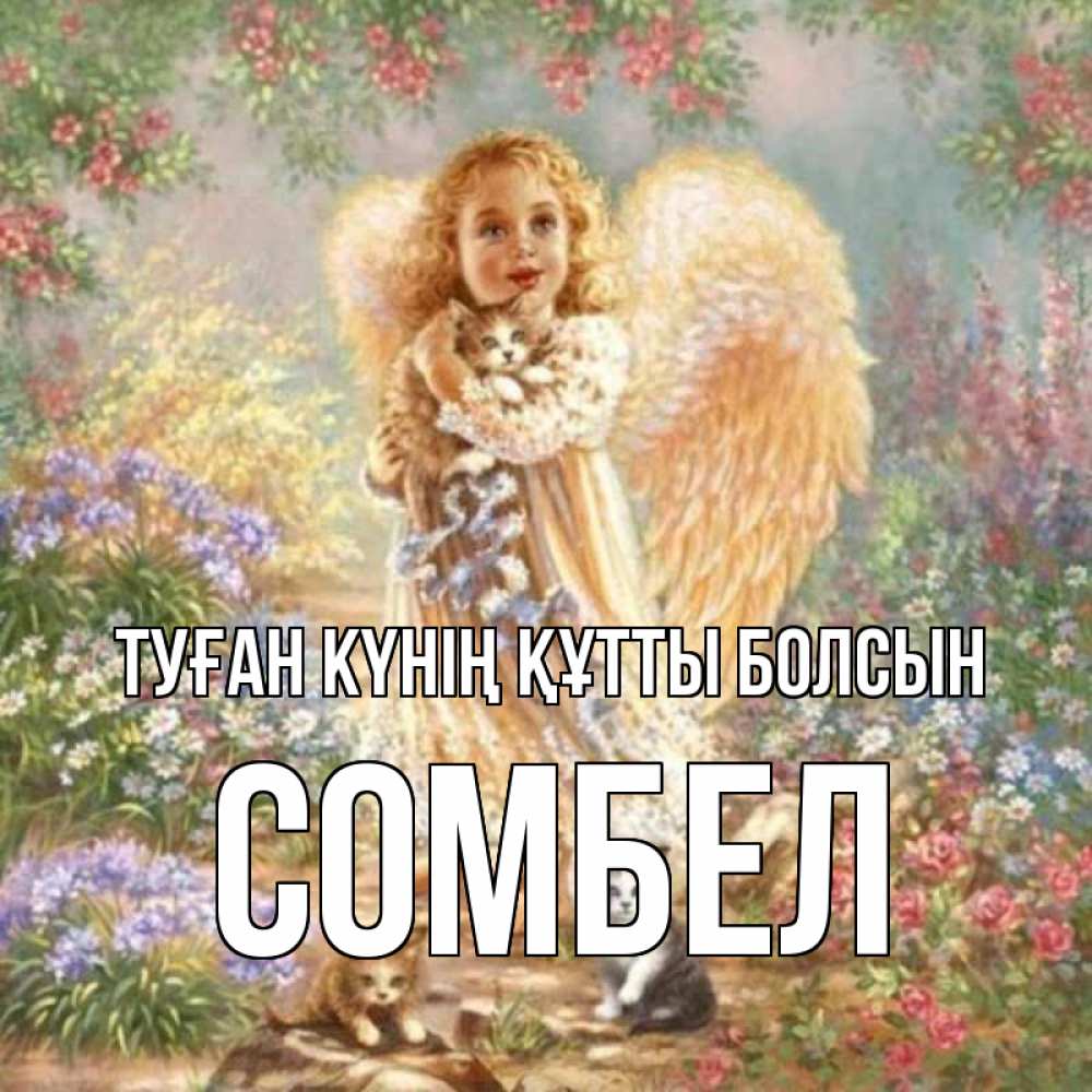 Күн сайын ашық хат с именем, СОМБЕЛ Туған күнің құтты болсын держит котенка Онлайн тегін жүктеп алу тілектері бар керемет карта 