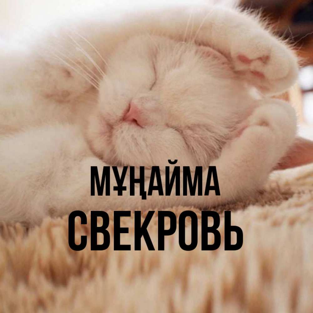 Күн сайын ашық хат с именем, Свекровь Мұңайма Котенок спит Онлайн тегін жүктеп алу тілектері бар керемет карта 
