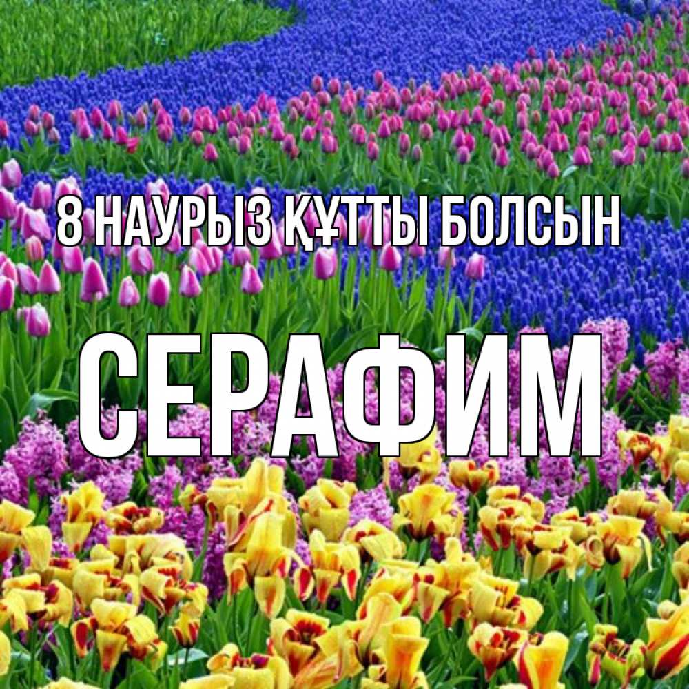 Күн сайын ашық хат с именем, Серафим 8 наурыз құтты болсын цветы Онлайн тегін жүктеп алу тілектері бар керемет карта 