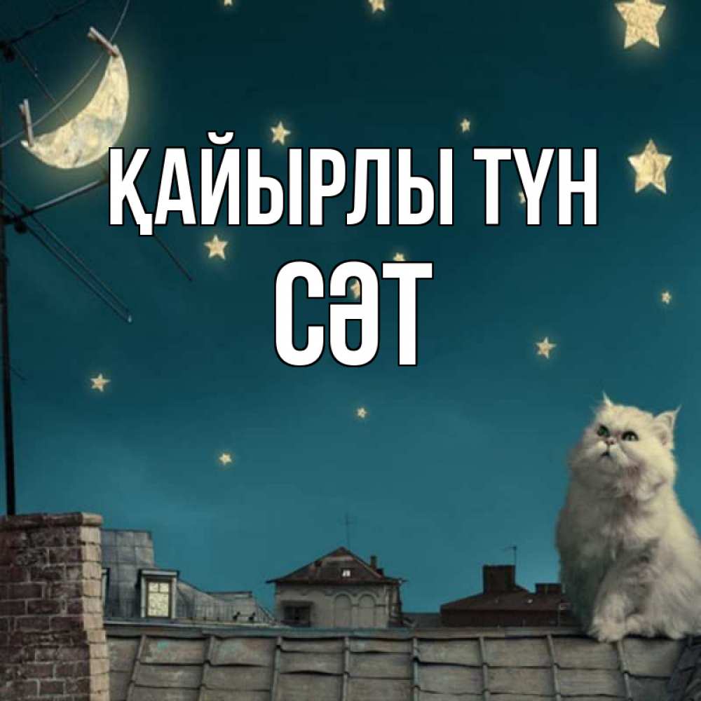 Күн сайын ашық хат с именем, СӘТ Қайырлы түн белый кот сидит на крыше Онлайн тегін жүктеп алу тілектері бар керемет карта 
