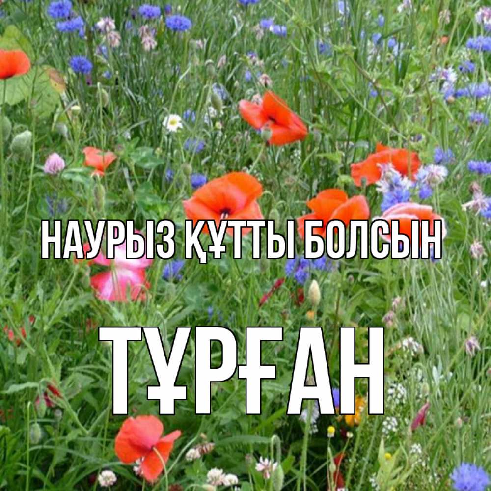 Күн сайын ашық хат с именем, ТҰРҒАН Наурыз құтты болсын наурыз  4 Онлайн тегін жүктеп алу тілектері бар керемет карта 