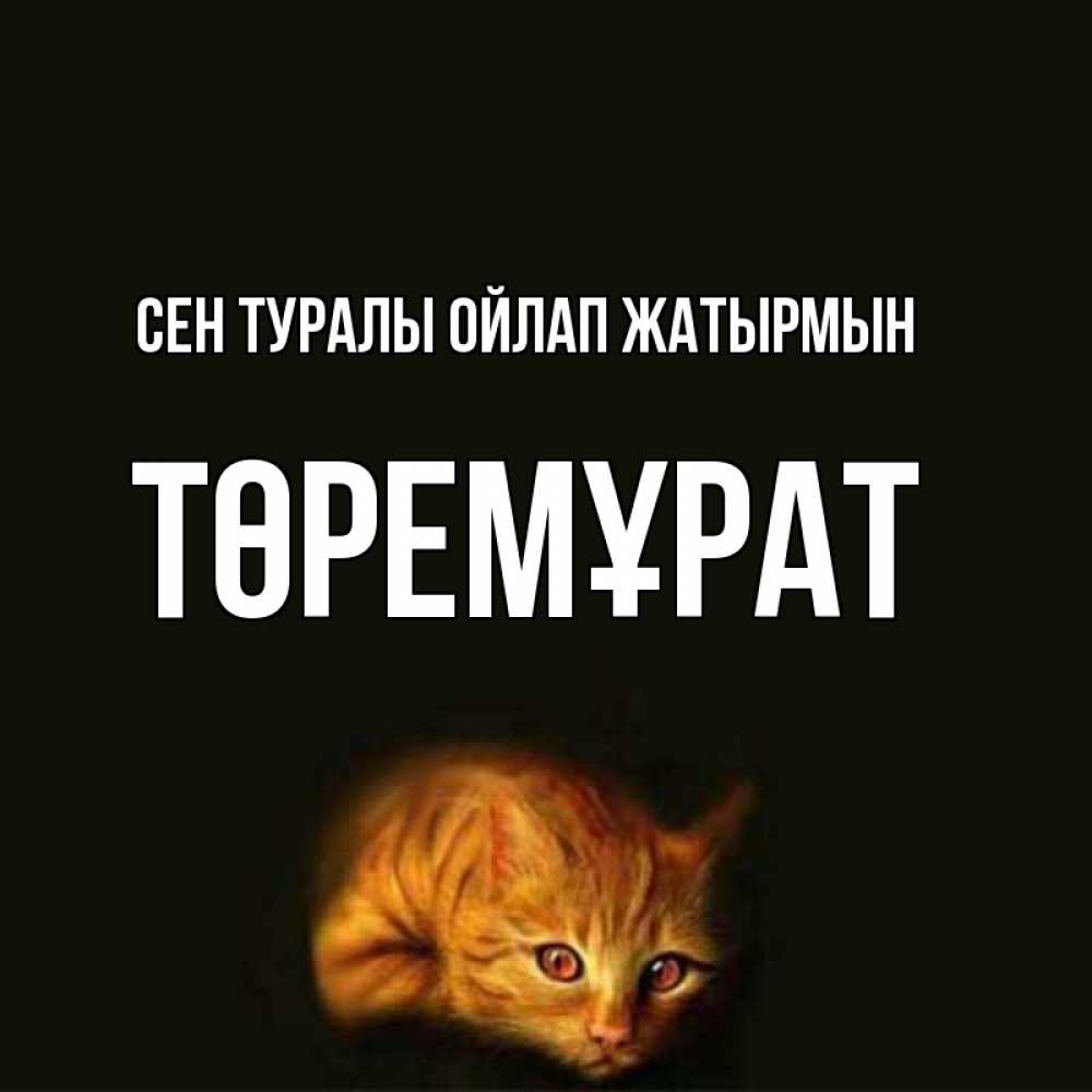 Күн сайын ашық хат с именем, Төремұрат Сен туралы ойлап жатырмын рыжий Онлайн тегін жүктеп алу тілектері бар керемет карта 