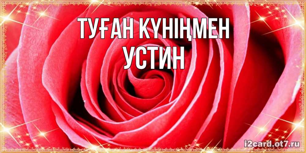 Күн сайын ашық хат с именем, Устин Туған күніңмен розовая роза очень крупный бутон Онлайн тегін жүктеп алу тілектері бар керемет карта 