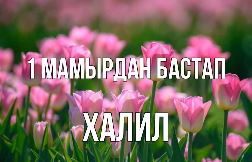 Күн сайын ашық хат с именем, ХАЛИЛ 1 мамырдан бастап С 1 мая Онлайн тегін жүктеп алу тілектері бар керемет карта 