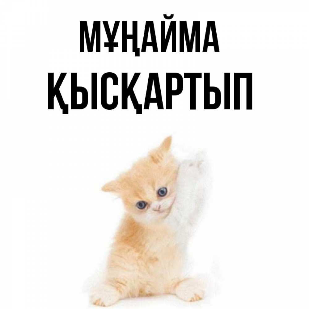 Күн сайын ашық хат с именем, Қысқартып Мұңайма просящий кот Онлайн тегін жүктеп алу тілектері бар керемет карта 