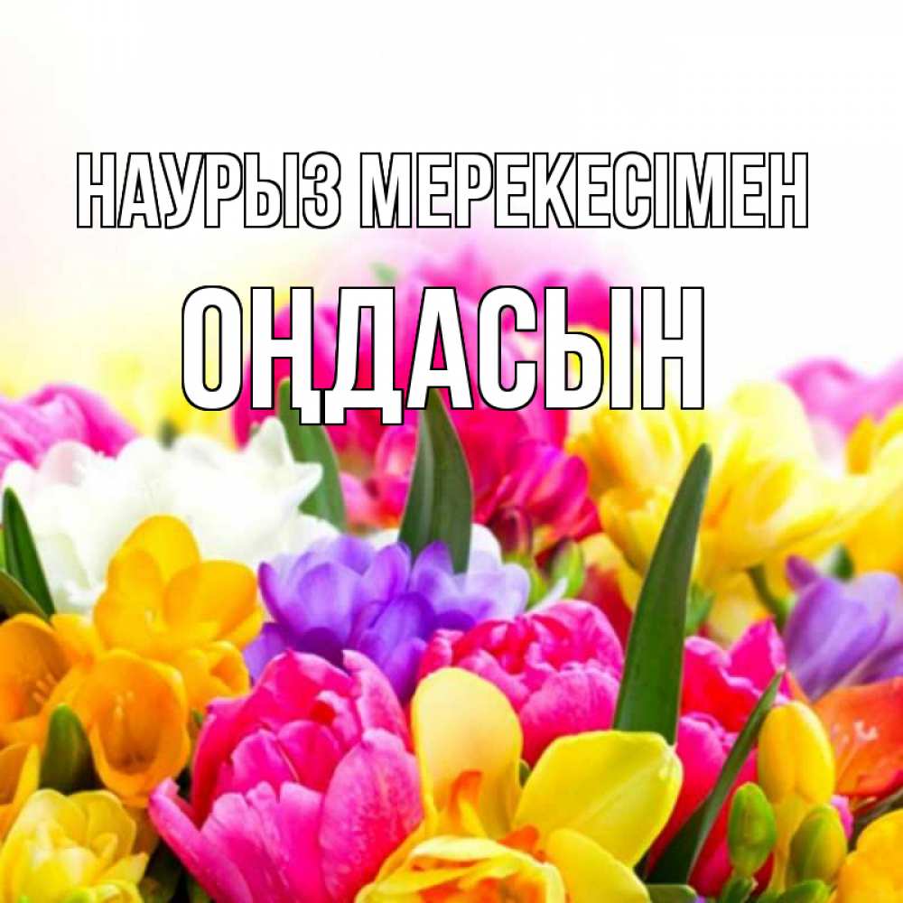 Күн сайын ашық хат с именем, ОҢДАСЫН Наурыз мерекесімен тюльпаны Онлайн тегін жүктеп алу тілектері бар керемет карта 