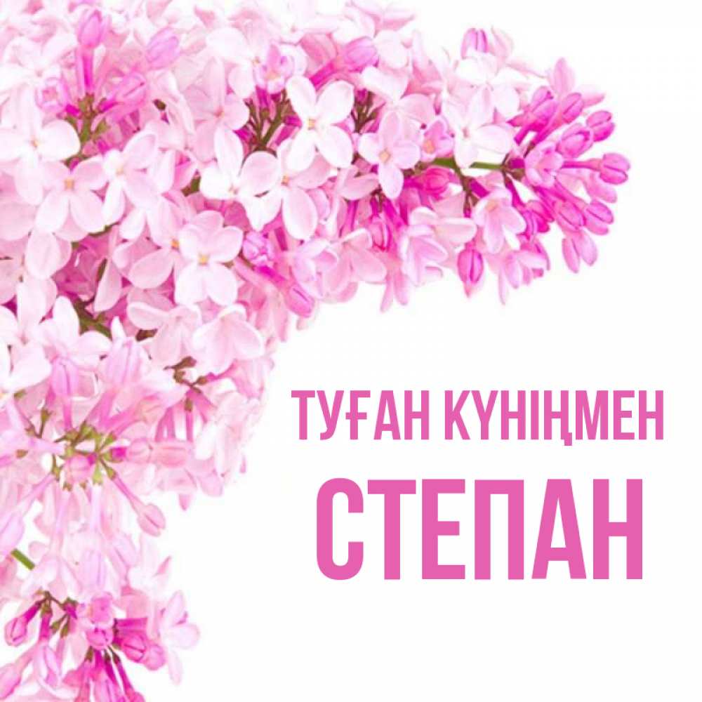 Күн сайын ашық хат с именем, Степан Туған күніңмен Сирень на белом фоне Онлайн тегін жүктеп алу тілектері бар керемет карта 