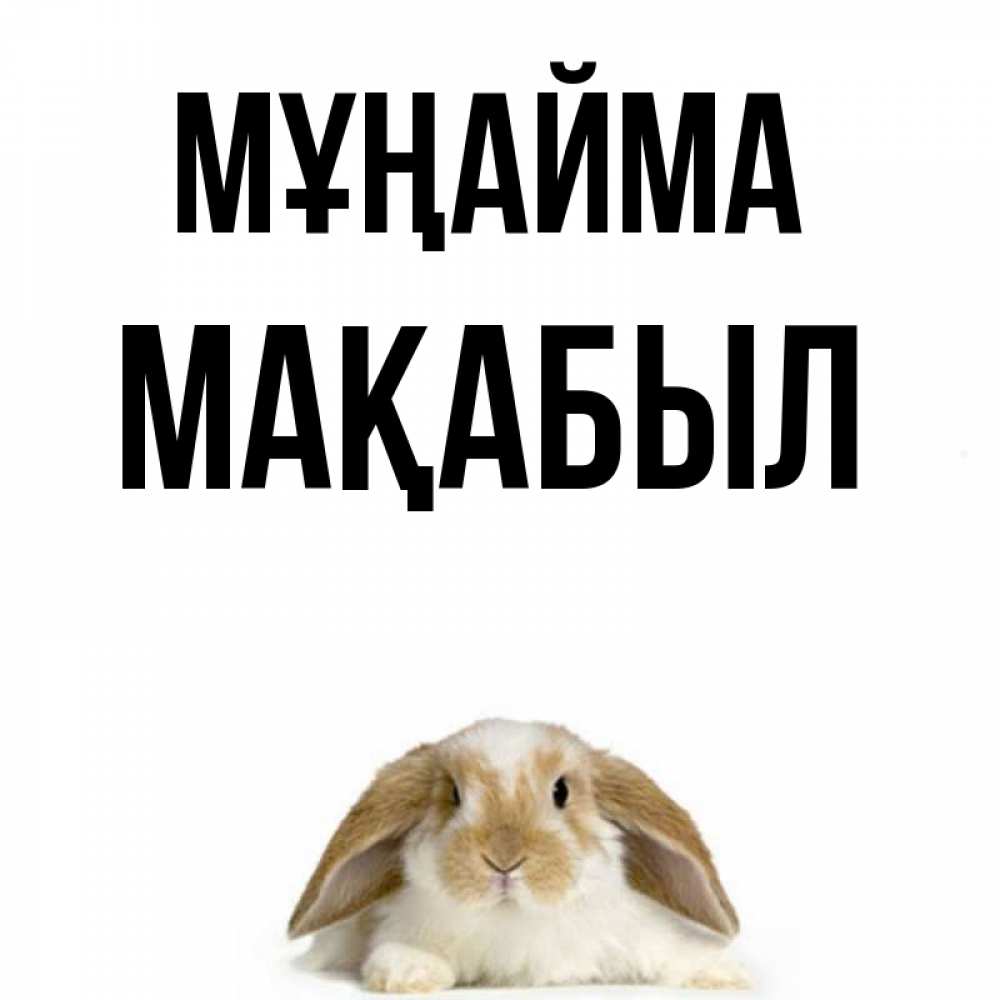 Күн сайын ашық хат с именем, МАҚАБЫЛ Мұңайма коричнево белый заяц с большими ушками Онлайн тегін жүктеп алу тілектері бар керемет карта 