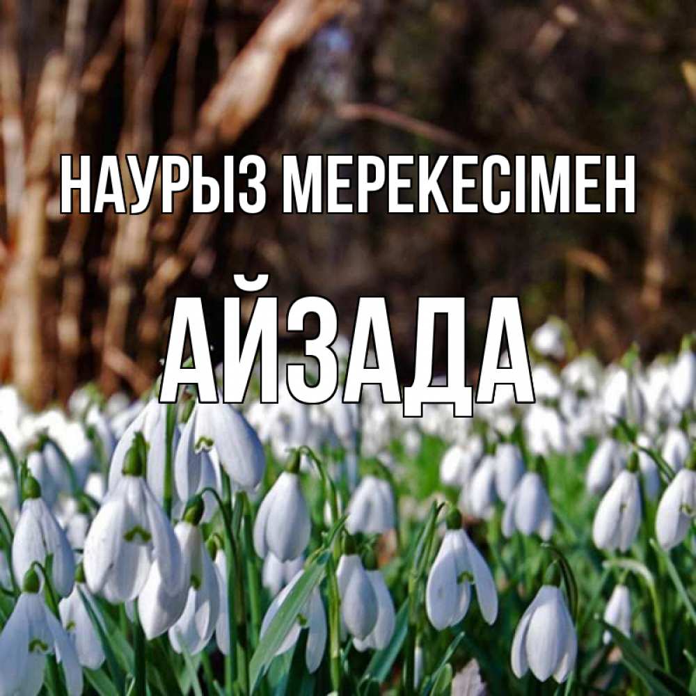 Күн сайын ашық хат с именем, АЙЗАДА Наурыз мерекесімен с подснежниками 1 Онлайн тегін жүктеп алу тілектері бар керемет карта 