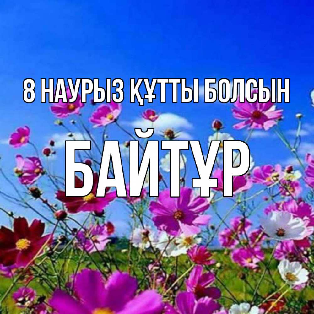 Күн сайын ашық хат с именем, Байтұр 8 наурыз құтты болсын цветы Онлайн тегін жүктеп алу тілектері бар керемет карта 