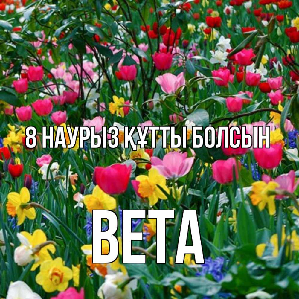 Күн сайын ашық хат с именем, Вета 8 наурыз құтты болсын с международным женским днем поздравления для женщины Онлайн тегін жүктеп алу тілектері бар керемет карта 