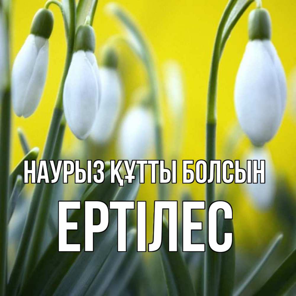 Күн сайын ашық хат с именем, Ертілес Наурыз құтты болсын весенние цветы Онлайн тегін жүктеп алу тілектері бар керемет карта 