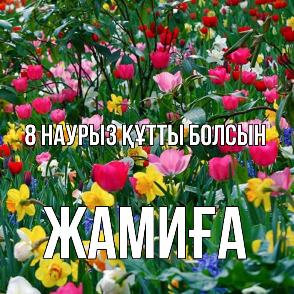 Күн сайын ашық хат с именем, ЖАМИҒА 8 наурыз құтты болсын с международным женским днем поздравления для женщины Онлайн тегін жүктеп алу тілектері бар керемет карта 