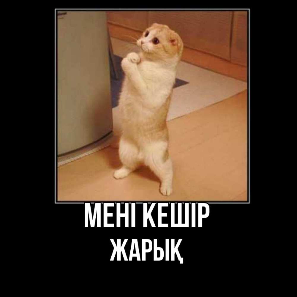 Күн сайын ашық хат с именем, Жарық Мені кешір открытка с милым несчастным котиком просящим прощения Онлайн тегін жүктеп алу тілектері бар керемет карта 