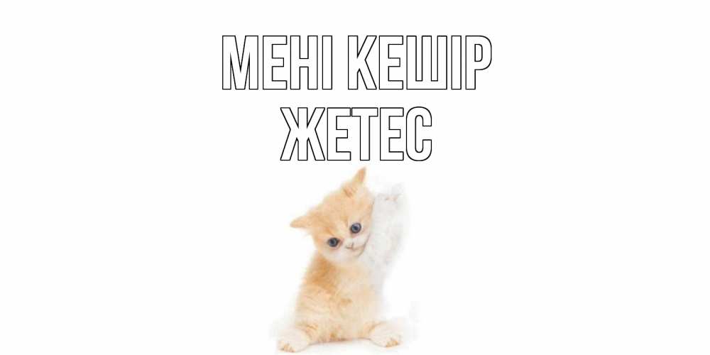 Күн сайын ашық хат с именем, Жетес Мені кешір кот Онлайн тегін жүктеп алу тілектері бар керемет карта 