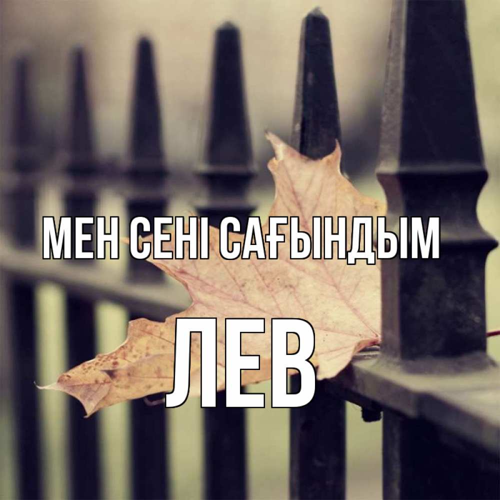 Күн сайын ашық хат с именем, Лев Мен сені сағындым очень скучно Онлайн тегін жүктеп алу тілектері бар керемет карта 