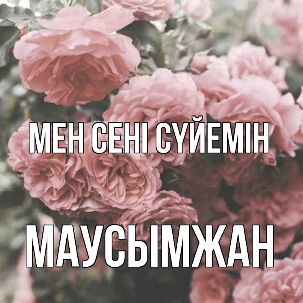 Күн сайын ашық хат с именем, МАУСЫМЖАН Мен сені сүйемін розы 3 Онлайн тегін жүктеп алу тілектері бар керемет карта 