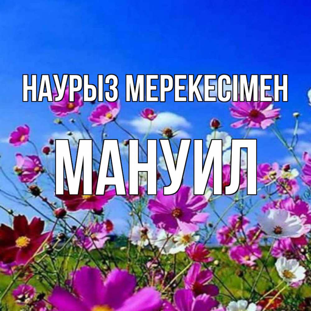 Күн сайын ашық хат с именем, Мануил Наурыз мерекесімен цветы Онлайн тегін жүктеп алу тілектері бар керемет карта 