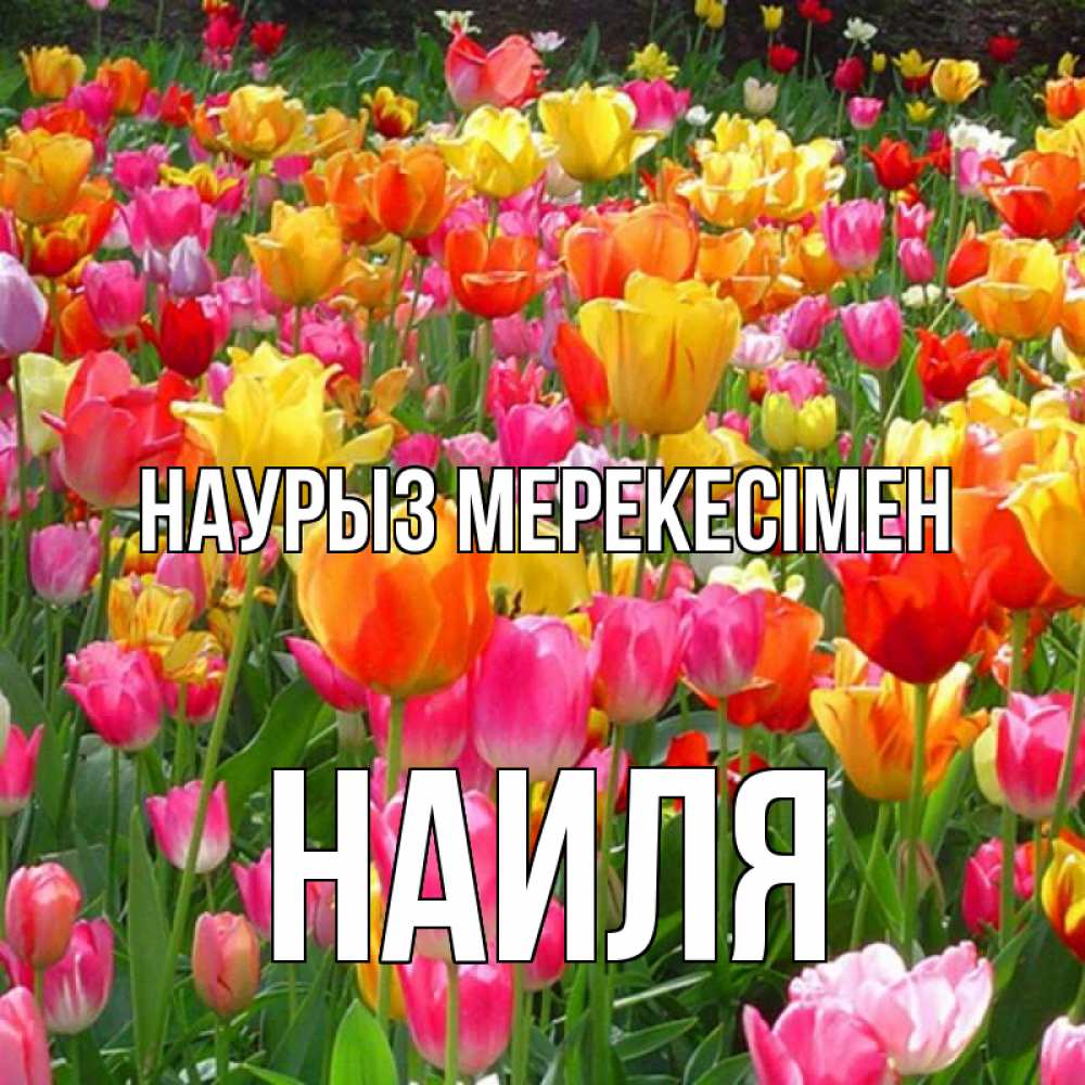 Күн сайын ашық хат с именем, Наиля Наурыз мерекесімен праздник весны наурыз 4 Онлайн тегін жүктеп алу тілектері бар керемет карта 