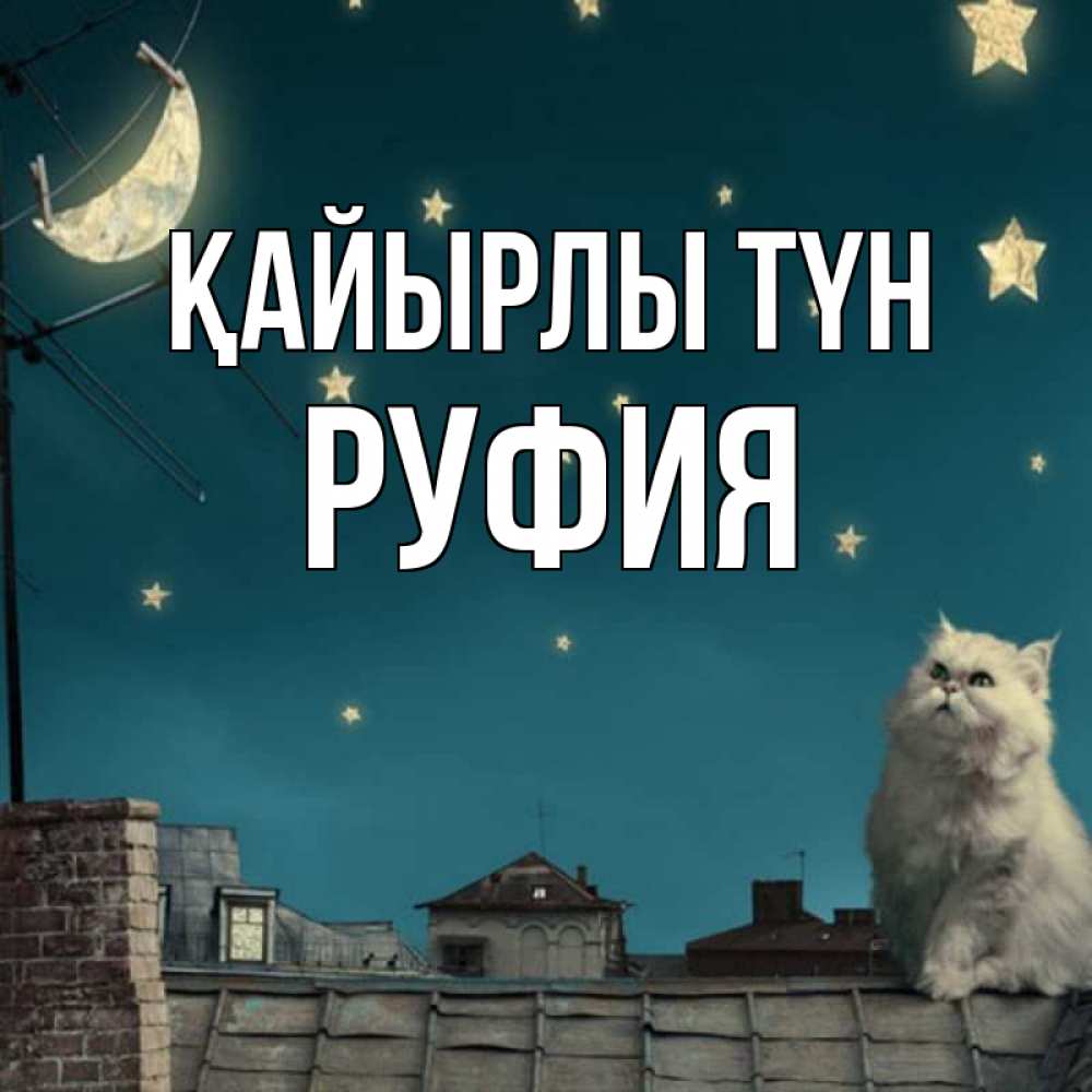 Күн сайын ашық хат с именем, РУФИЯ Қайырлы түн белый кот сидит на крыше Онлайн тегін жүктеп алу тілектері бар керемет карта 