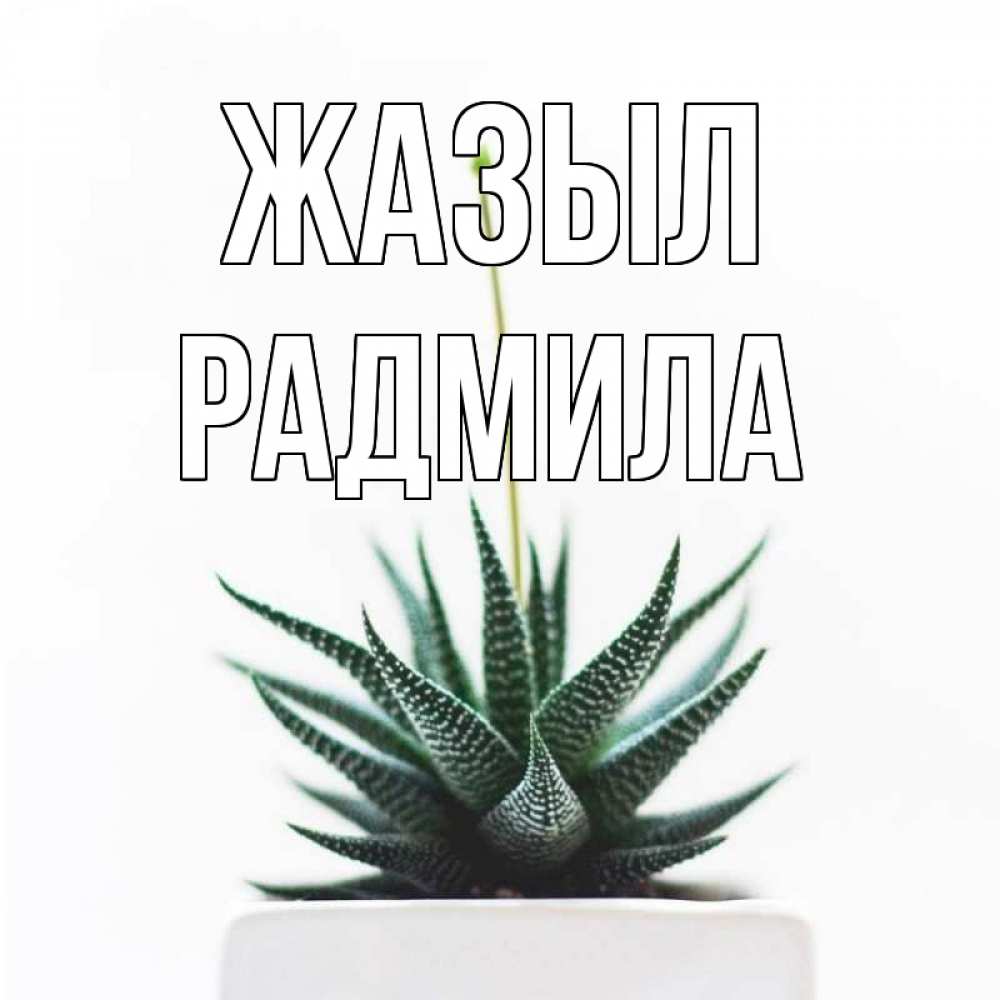 Күн сайын ашық хат с именем, Радмила Жазыл короче это непонятная колючка Онлайн тегін жүктеп алу тілектері бар керемет карта 