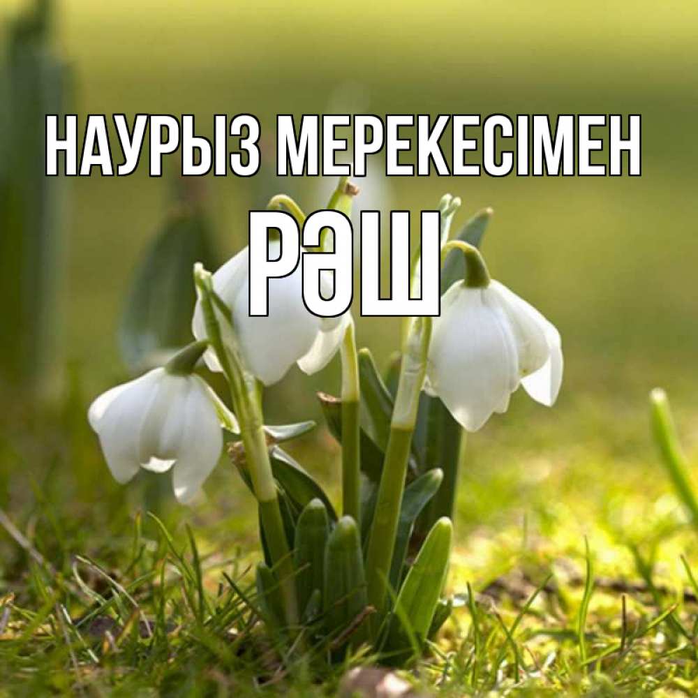 Күн сайын ашық хат с именем, РӘШ Наурыз мерекесімен ранние цветы 2 Онлайн тегін жүктеп алу тілектері бар керемет карта 