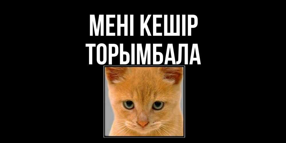 Күн сайын ашық хат с именем, ТОРЫМБАЛА Мені кешір рыжий грустный кот просит прощения Онлайн тегін жүктеп алу тілектері бар керемет карта 