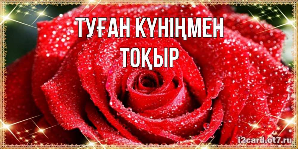 Күн сайын ашық хат с именем, ТОҚЫР Туған күніңмен роса и роза. открытка с красивой розой Онлайн тегін жүктеп алу тілектері бар керемет карта 