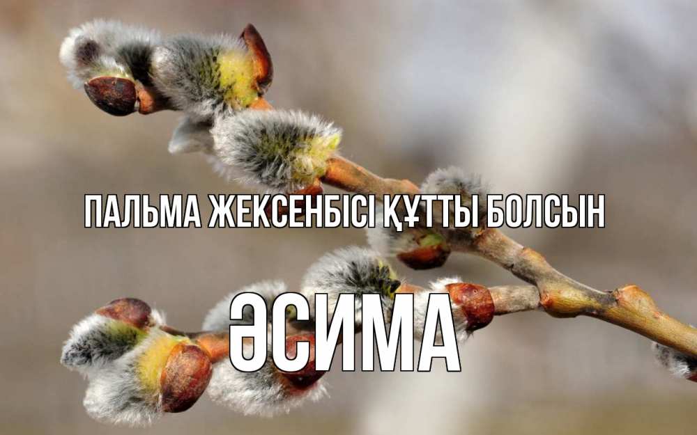 Күн сайын ашық хат с именем, ӘСИМА Пальма жексенбісі құтты болсын Верба Онлайн тегін жүктеп алу тілектері бар керемет карта 