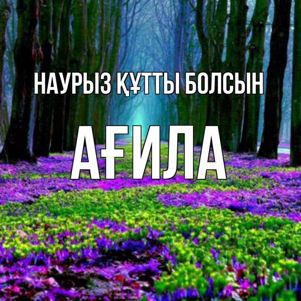 Күн сайын ашық хат с именем, АҒИЛА Наурыз құтты болсын фиолетовые цветы в лесу 1 Онлайн тегін жүктеп алу тілектері бар керемет карта 