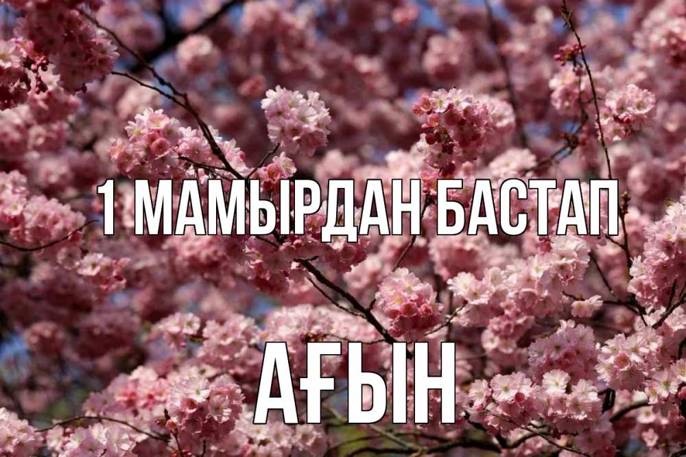 Күн сайын ашық хат с именем, Ағын 1 мамырдан бастап С 1 мая Онлайн тегін жүктеп алу тілектері бар керемет карта 