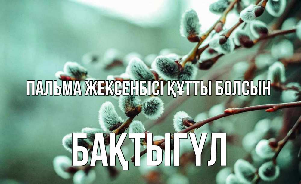 Күн сайын ашық хат с именем, БАҚТЫГҮЛ Пальма жексенбісі құтты болсын верба Онлайн тегін жүктеп алу тілектері бар керемет карта 