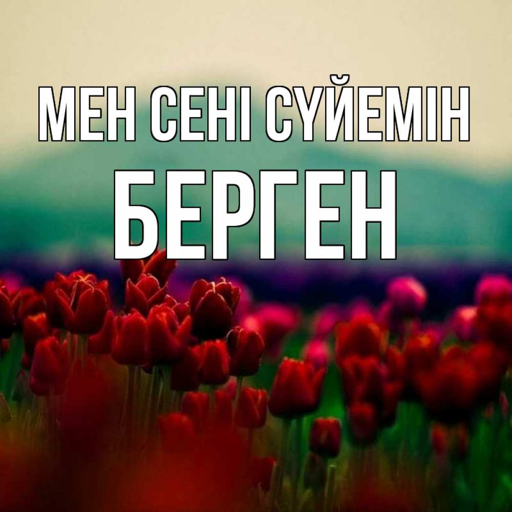 Күн сайын ашық хат с именем, Берген Мен сені сүйемін тюльпаны 4 Онлайн тегін жүктеп алу тілектері бар керемет карта 