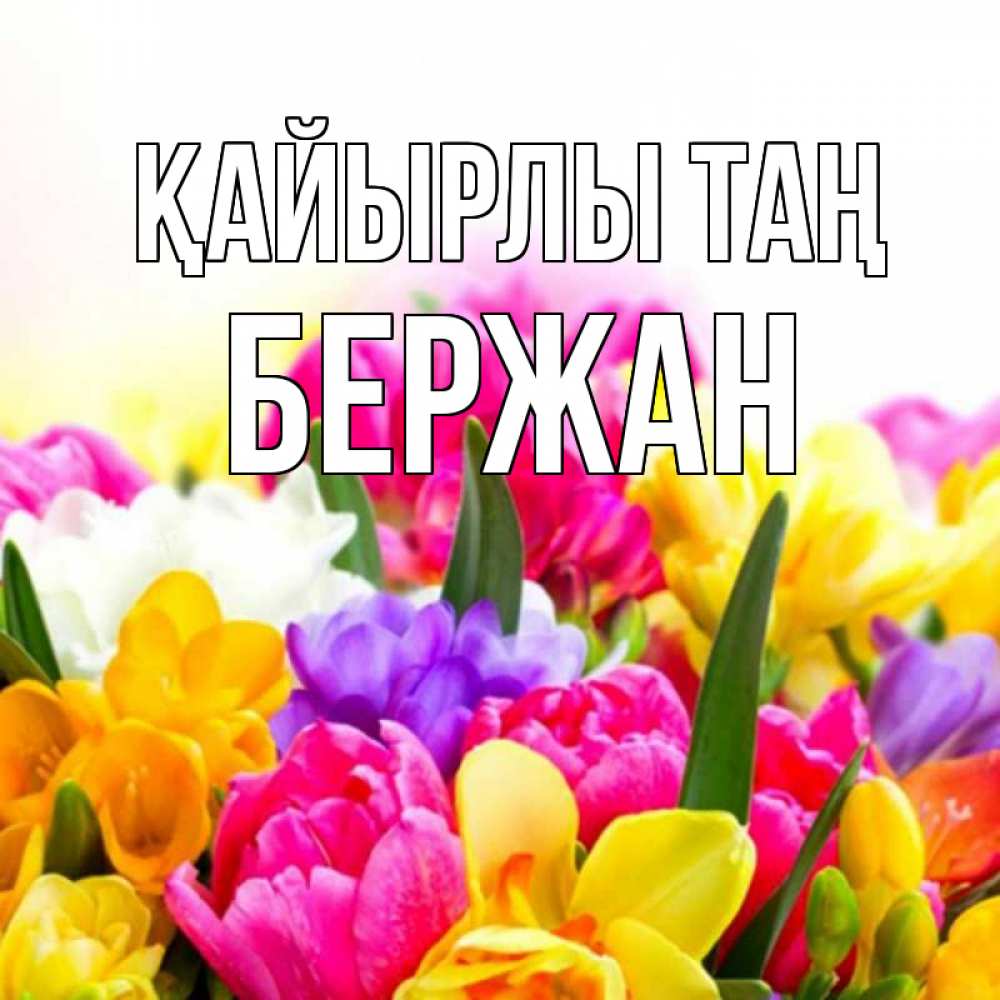 Күн сайын ашық хат с именем, Бержан Қайырлы таң создать открытку со свое подписью Онлайн тегін жүктеп алу тілектері бар керемет карта 