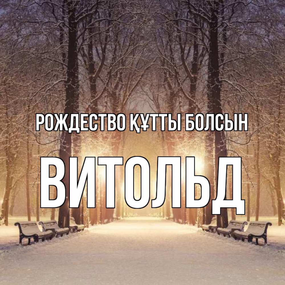 Күн сайын ашық хат с именем, Витольд Рождество құтты болсын зима, парк, фонарь, лес Онлайн тегін жүктеп алу тілектері бар керемет карта 