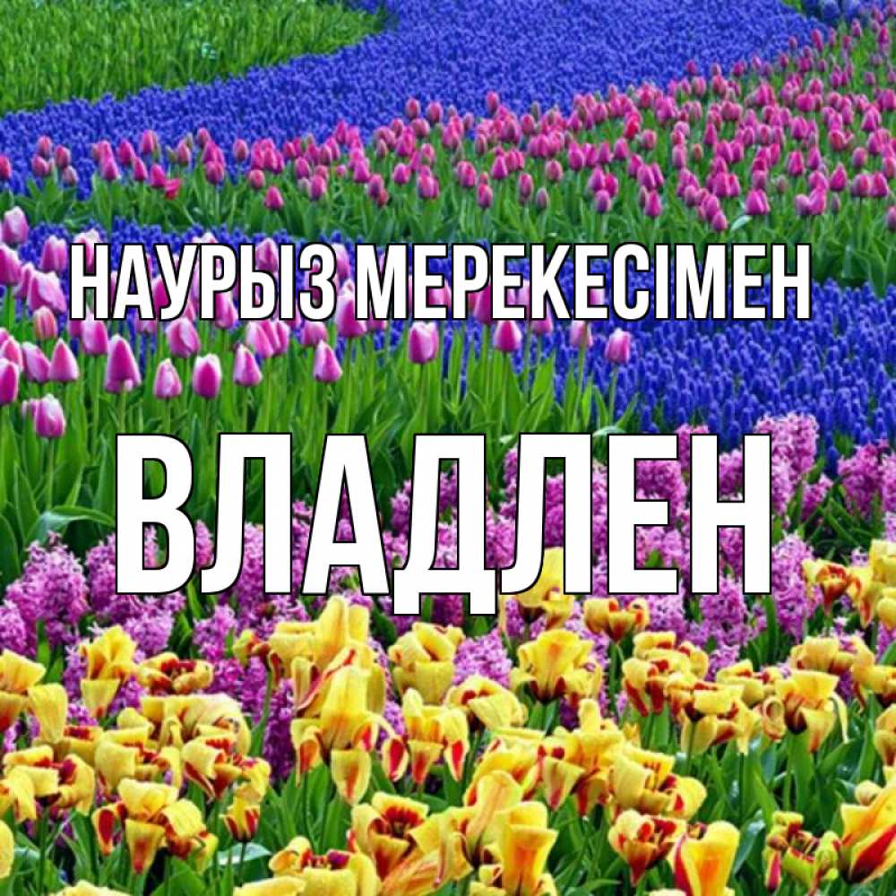 Күн сайын ашық хат с именем, Владлен Наурыз мерекесімен цветы Онлайн тегін жүктеп алу тілектері бар керемет карта 