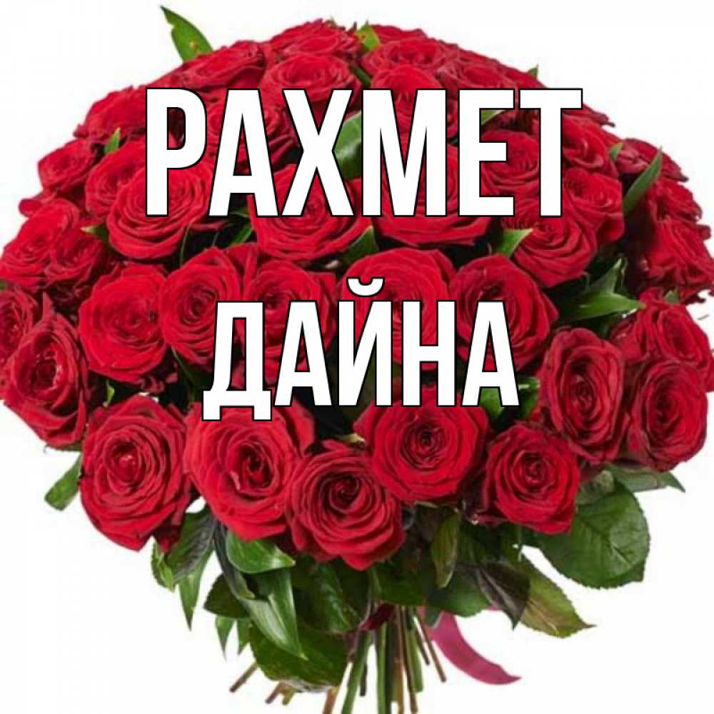 Күн сайын ашық хат с именем, Дайна рахмет букет красных роз Онлайн тегін жүктеп алу тілектері бар керемет карта 