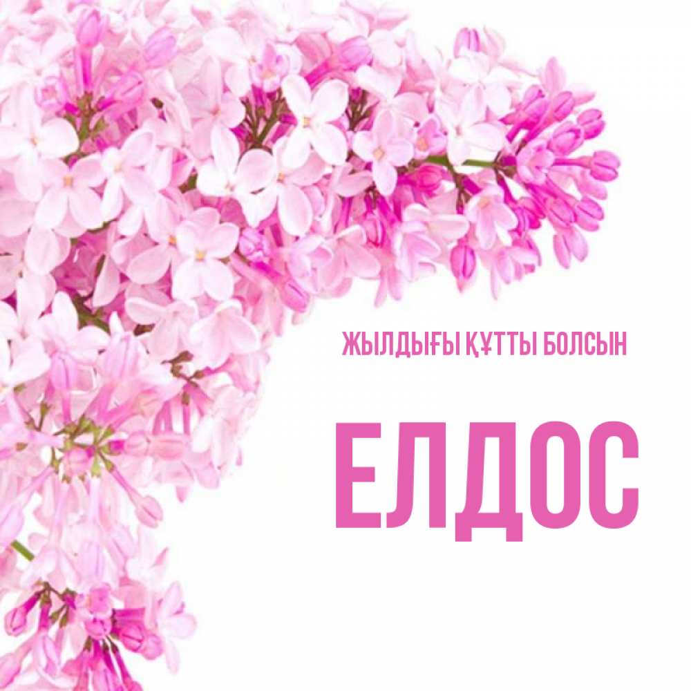 Күн сайын ашық хат с именем, Елдос Жылдығы құтты болсын Сирень на белом фоне Онлайн тегін жүктеп алу тілектері бар керемет карта 