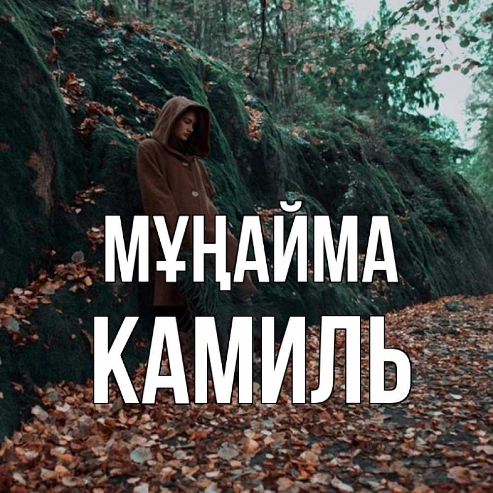 Күн сайын ашық хат с именем, Камиль Мұңайма осенний лес Онлайн тегін жүктеп алу тілектері бар керемет карта 