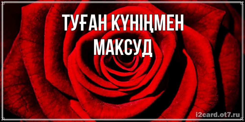 Күн сайын ашық хат с именем, Максуд Туған күніңмен алая роза Онлайн тегін жүктеп алу тілектері бар керемет карта 