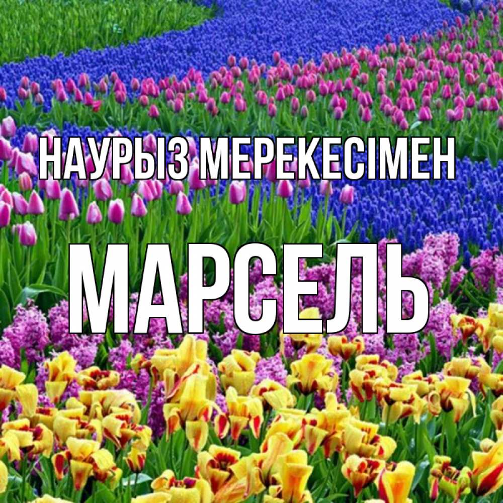 Күн сайын ашық хат с именем, Марсель Наурыз мерекесімен цветы Онлайн тегін жүктеп алу тілектері бар керемет карта 
