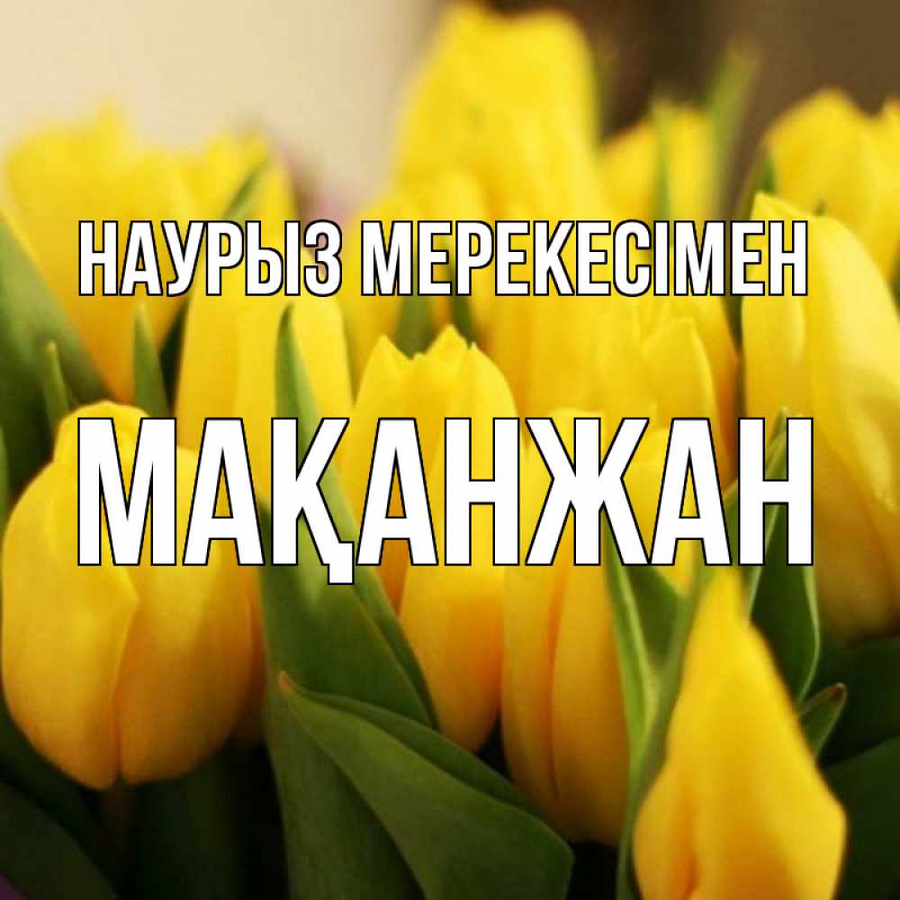 Күн сайын ашық хат с именем, Мақанжан Наурыз мерекесімен цветы Онлайн тегін жүктеп алу тілектері бар керемет карта 